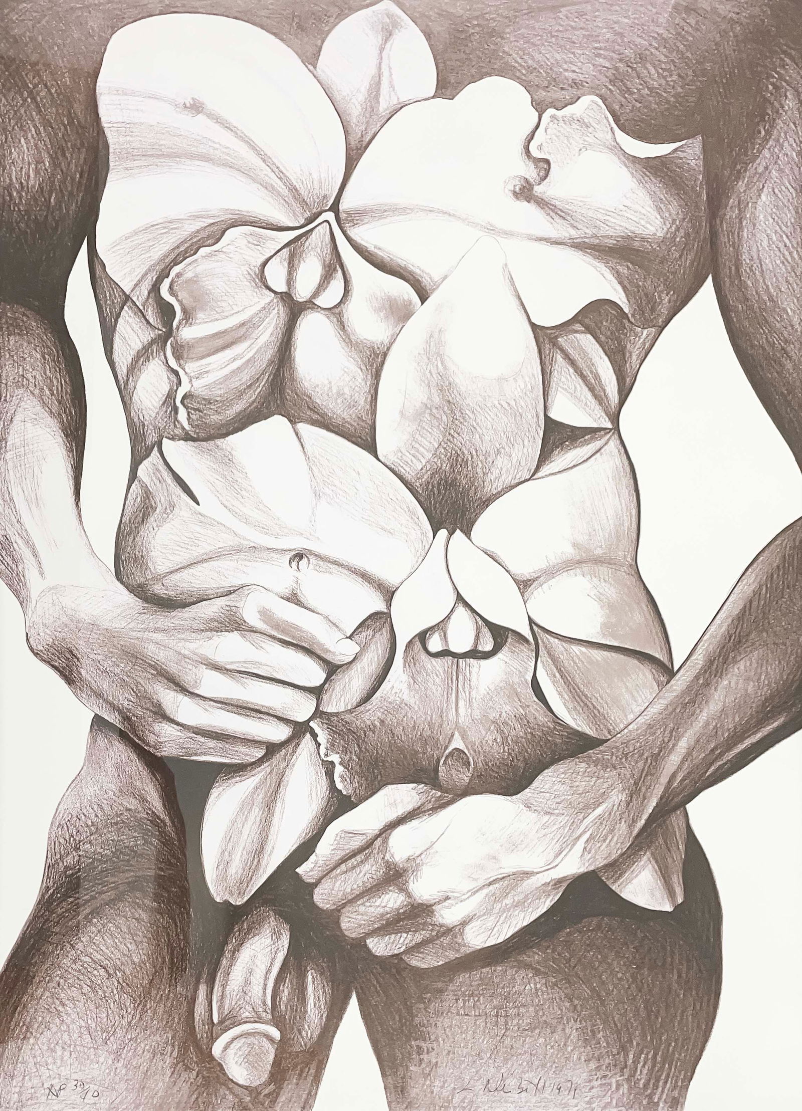 Lowell Nesbitt - Untitled (Nude Torso with Orchids): Lot 53 Lowell Nesbitt American (1933-1993) Untitled (Nude Torso with Orchids) (1979) lithograph signed lower right, editioned 30/40 AP sight: 43 1/2 x 29 1/2 inches frame dimensions: 44 1/4 x 30 1/4 x