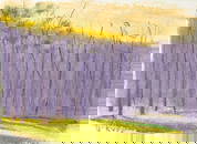 Wolf Kahn - Purple Tree Screen