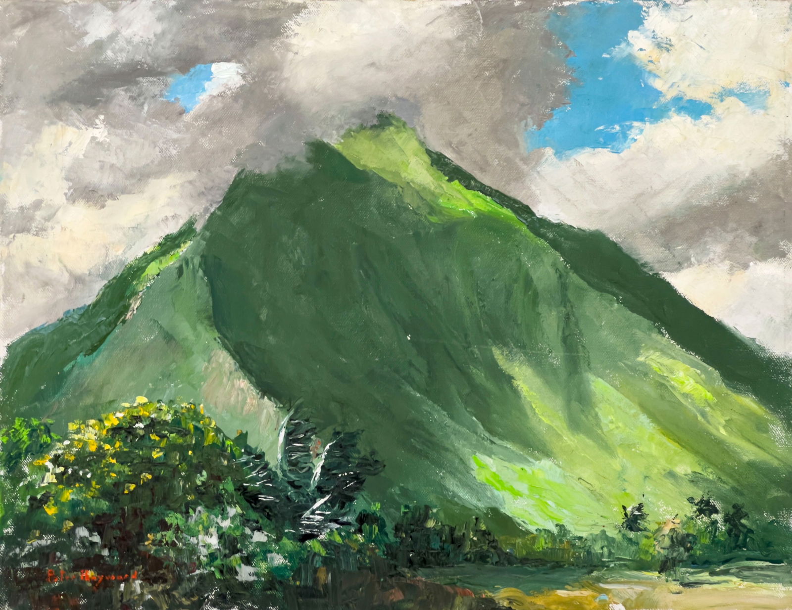 Peter Hayward - Untitled (Hawaii) (1 of 4)