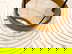 item-209036627=5