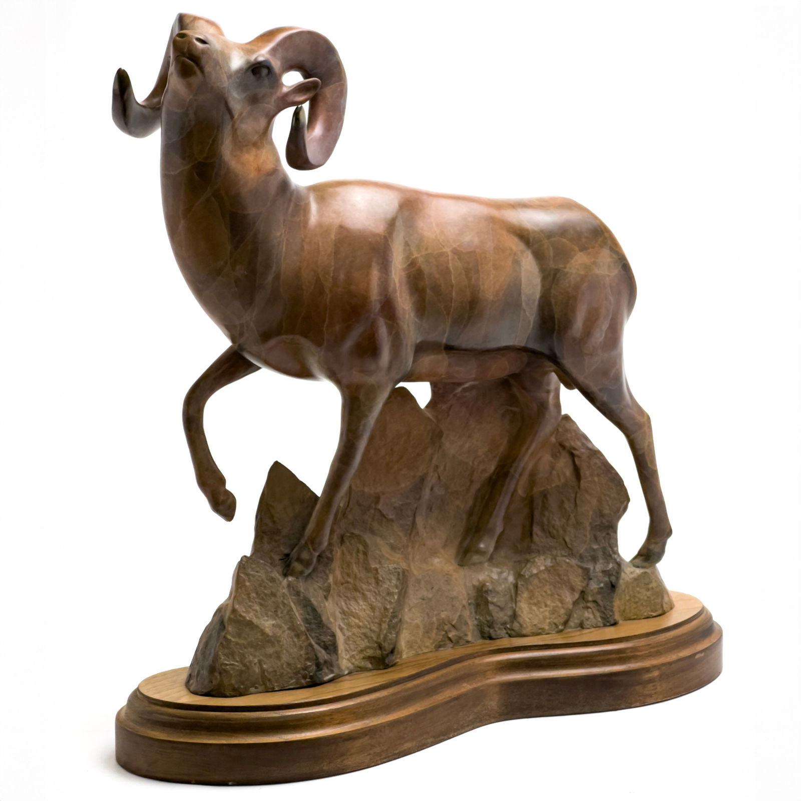 Robert Deurloo - Bighorn Ram (1 of 6)