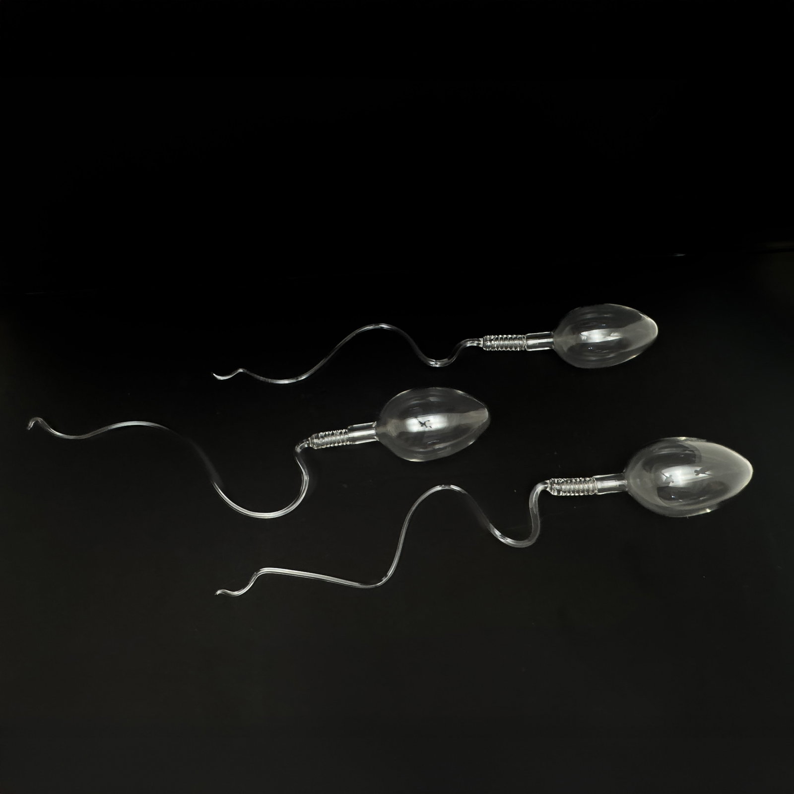 Luke Jerram - Spermatazoa (1 of 4)