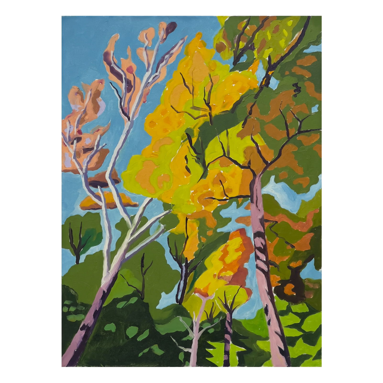 Janet Cooling - Untitled (Forest Scene) (1 of 2)