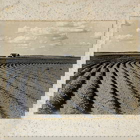 Dorothea Lange - Abandoned Farmhouse: Lot 69 Dorothea Lange American (1895-1965) Abandoned Farmhouse gelatin silver print c. 1942 6 3/4 x 9 1/4 inches unframed, mat dimensions: 14 x 11 Provenance: From a Private Collection