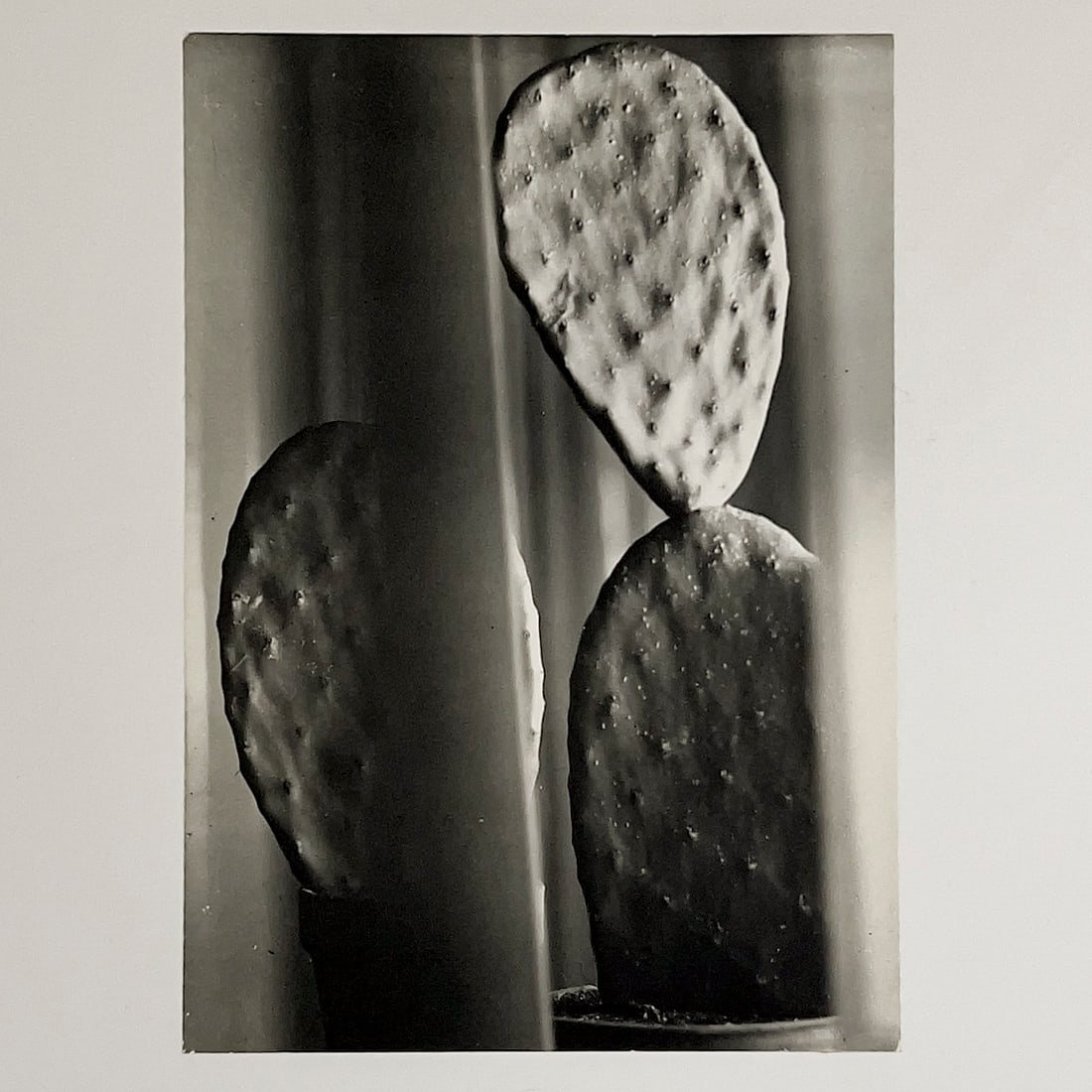 Florence Henri - Composition (Cactus) (1 of 2)