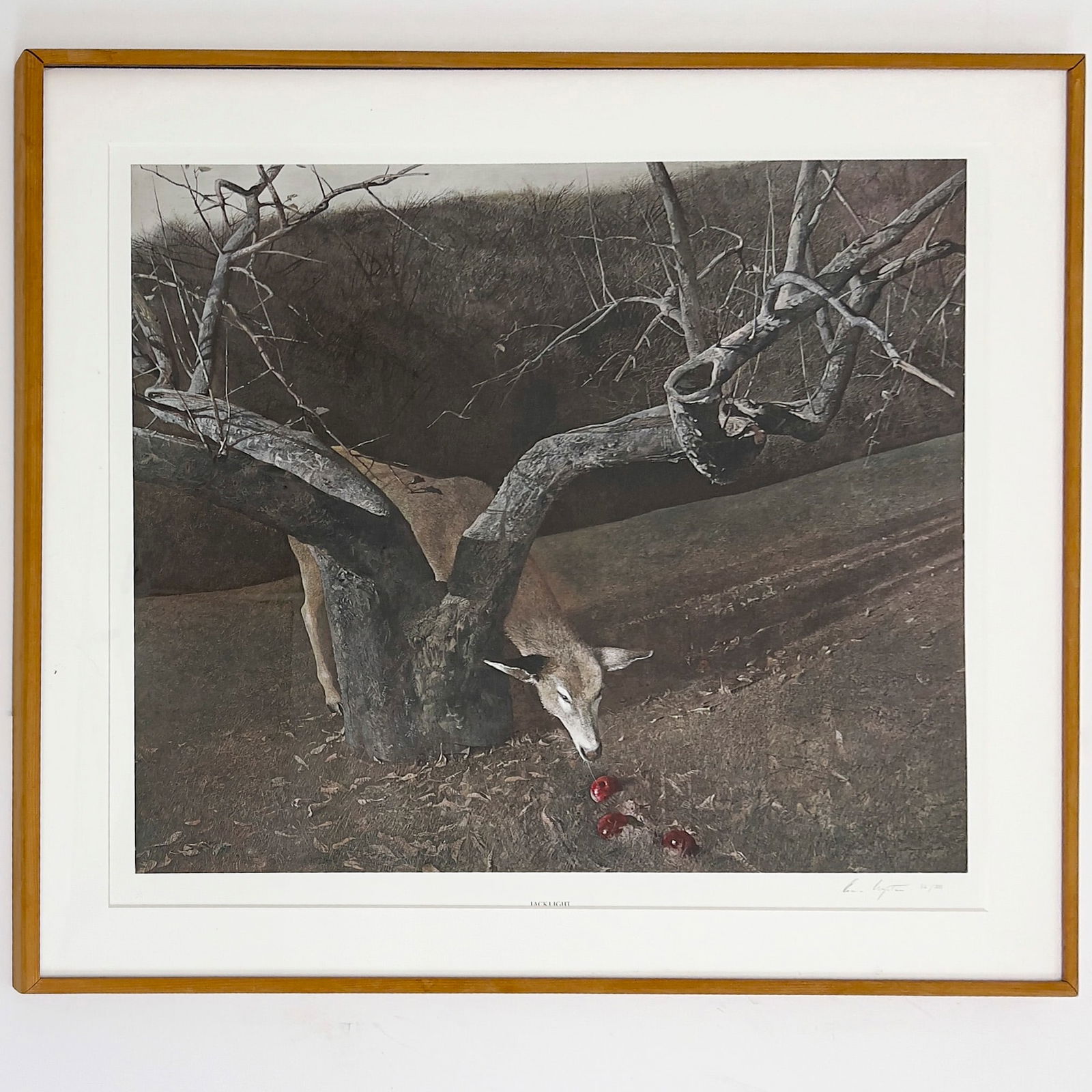 Andrew Wyeth - Jacklight: Lot 172 Andrew Wyeth American (1917-2009) Jacklight collotype overall very good condition, not examined out of frame pencil signed, numbered 56/300 image: 28 x 31 7/8 inches wood frame with acrylic, d