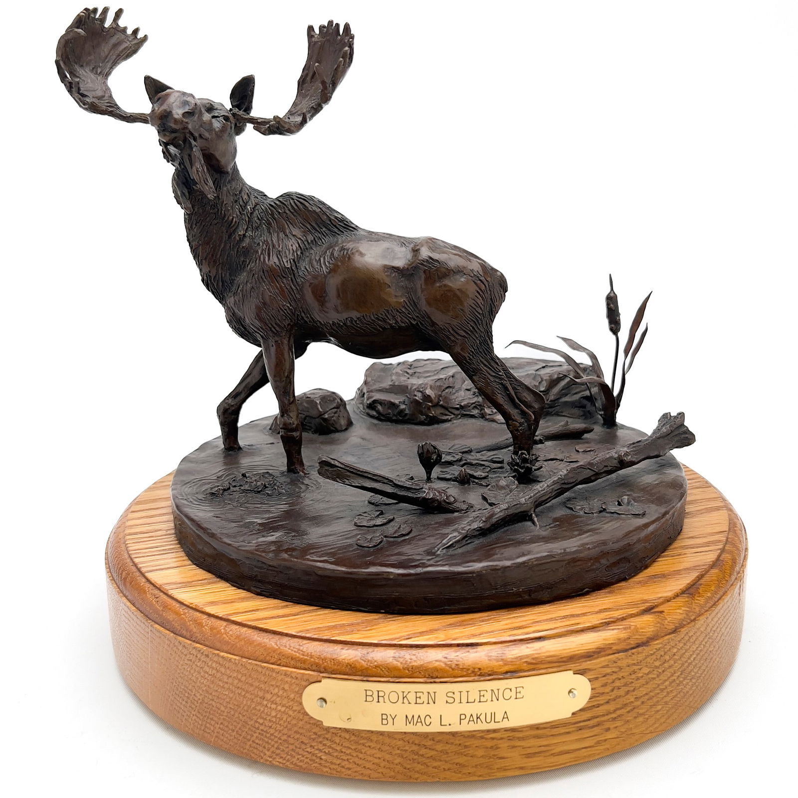 Mac Pakula - Broken Silence (Moose) (1 of 5)