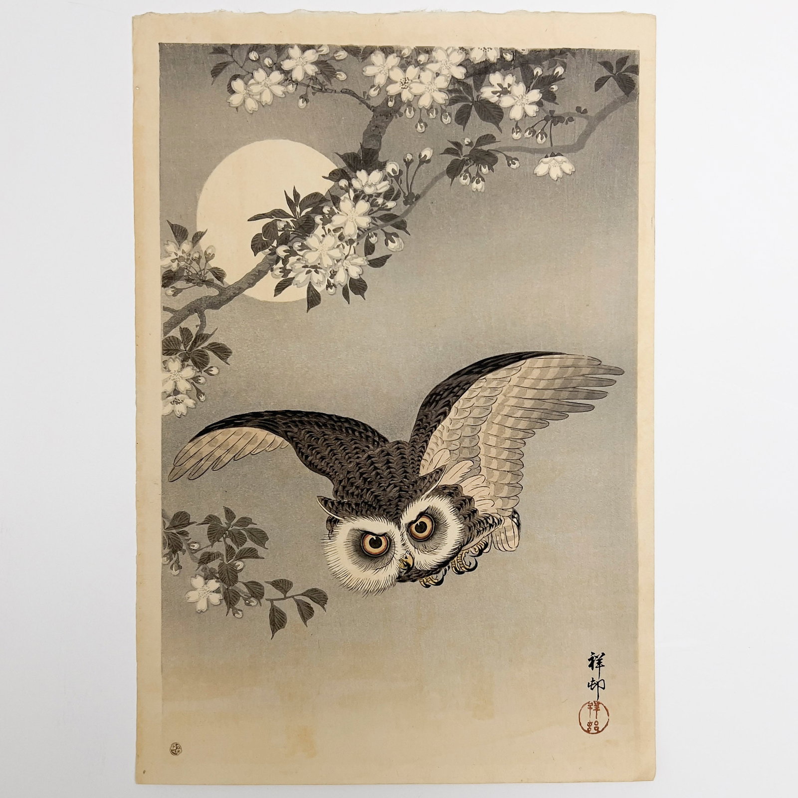 Ohara Koson - Scops Owl in Flight with Cherry Blossoms (1 of 3)