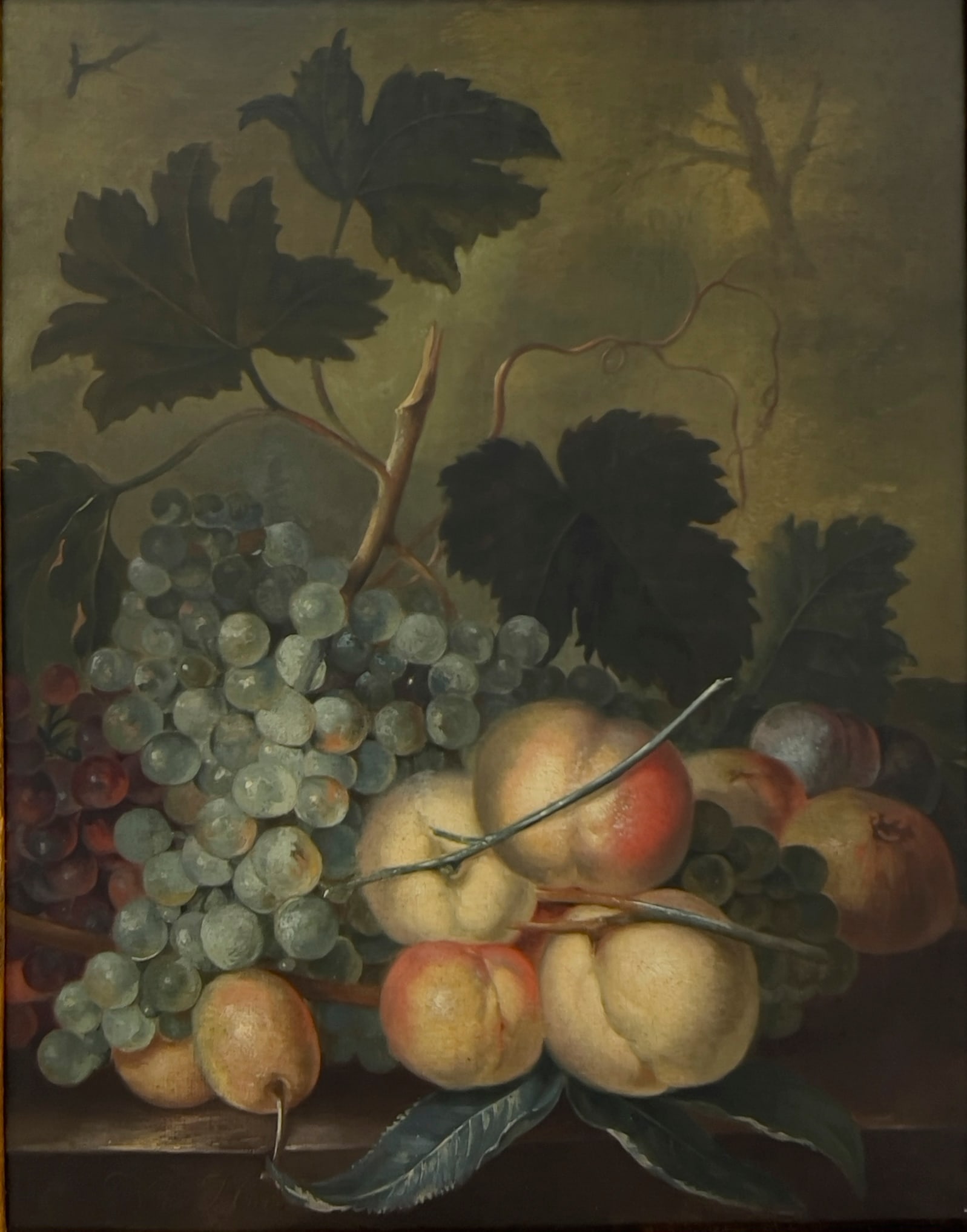 After Jan van Huysum - Still Life With Grapes: Lot 38 After Jan van Huysum Dutch (1682-1749) Still Life With Grapes (19th Century) oil on canvas 17 1/2 x 14 inches bears signature lower left Description: A nineteenth-century Dutch Golden Age