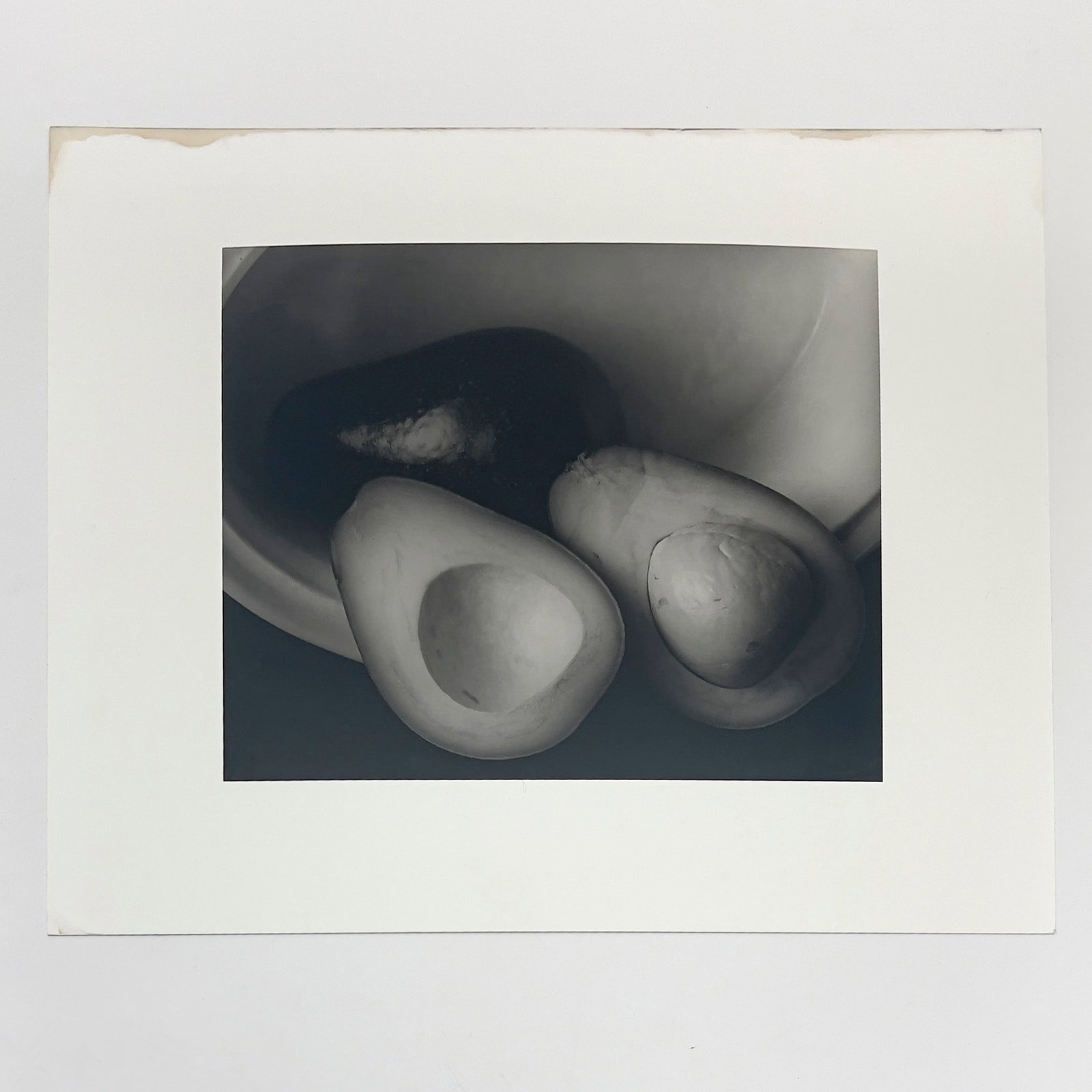 Edward Steichen - Avocados, New York - 2