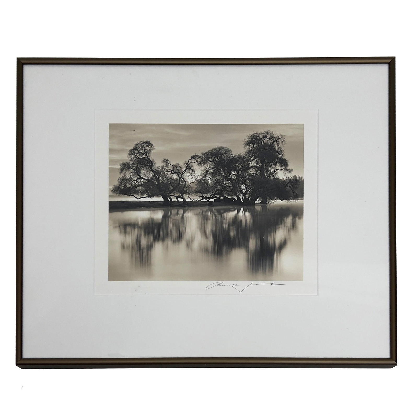 Roman loranc - Roman Loranc, Bare Trees by River (1 of 4)
