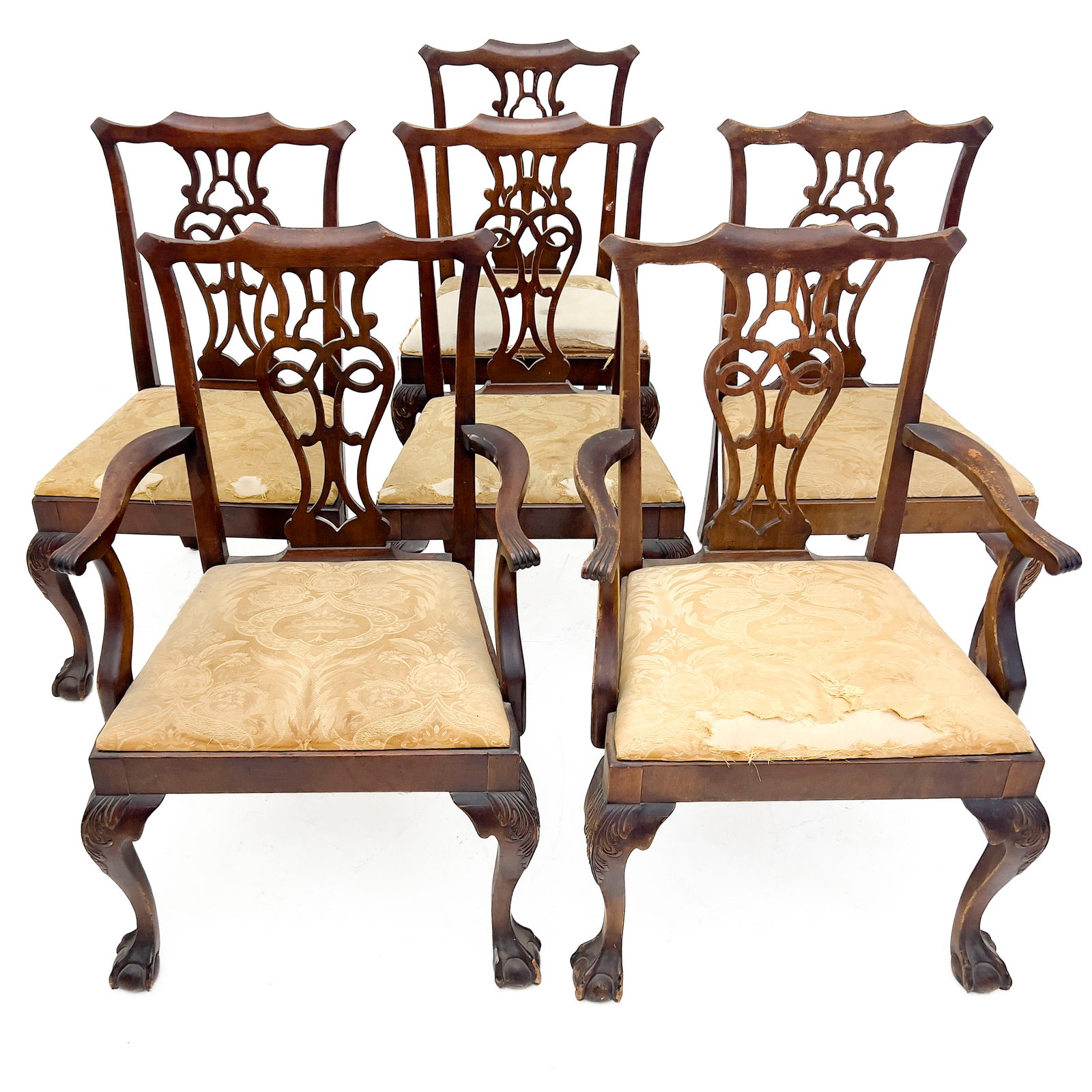 6 Chippendale Style Dining Chairs (1 of 3)