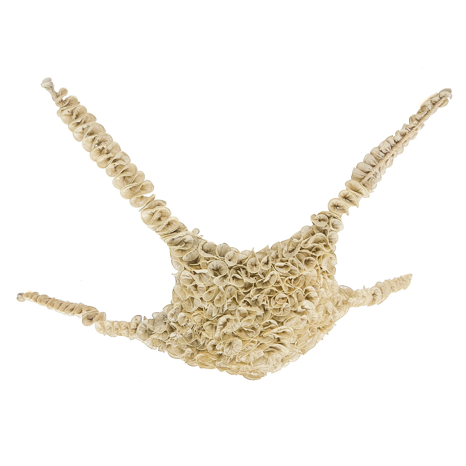 Ayala Serfaty - Starfish - 2
