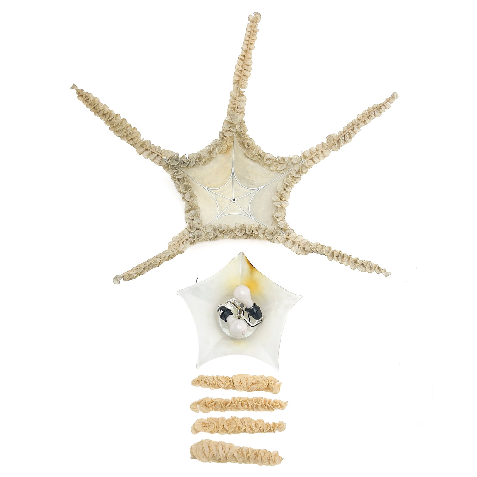 Ayala Serfaty - Starfish - 4