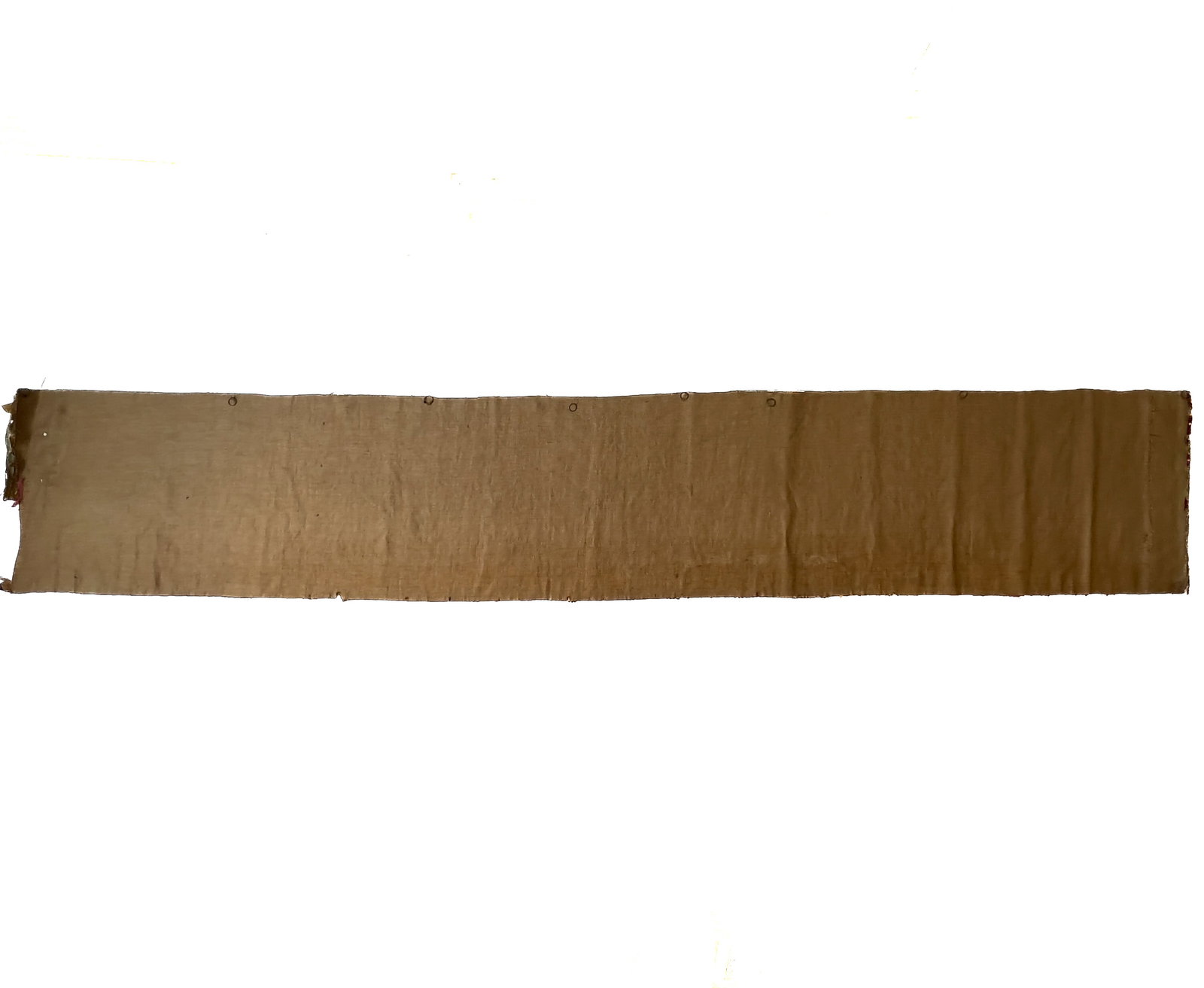 A Continental Tapestry Border Fragment (Galon) - 2