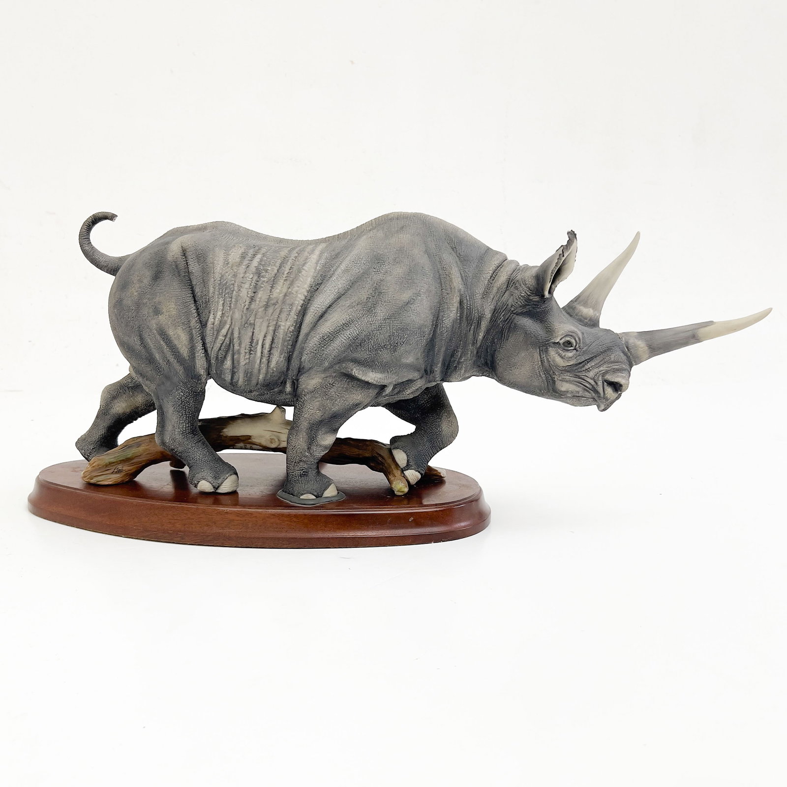 Boehm - Black Rhinoceros #7 (1 of 8)