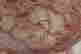 item-60602295=11