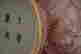 item-60602295=6