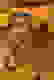 item-60602337=2