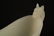 CHINESE WHITE JADE SAUCEBOAT LIBATION CUP WITH SPOUT - 8