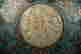 item-60622086=6
