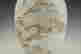 item-60622161=4