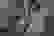 item-63539975=4