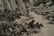 1948, FRAMED ZHANG DAQIAN LANDSCAPE PAINTING - 9
