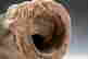 item-63540055=12