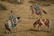 LANG SHINING, 4 QING HORSE SILK SCROLL PAINTINGS - 13