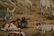 LANG SHINING, 4 QING HORSE SILK SCROLL PAINTINGS - 15