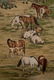 LANG SHINING, 4 QING HORSE SILK SCROLL PAINTINGS - 9