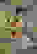 item-63540092=6