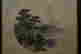 item-63540224=7