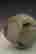 item-63540363=5