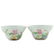 PAIR YONGZHENG FAMILLE ROSE FLORAL BOWLS