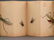 WATERCOLOR PAINTING OF INSECTS ALBUM - 10