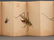 WATERCOLOR PAINTING OF INSECTS ALBUM - 11