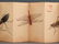 WATERCOLOR PAINTING OF INSECTS ALBUM - 13