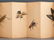 WATERCOLOR PAINTING OF INSECTS ALBUM - 15