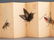 WATERCOLOR PAINTING OF INSECTS ALBUM - 16
