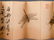 WATERCOLOR PAINTING OF INSECTS ALBUM - 7