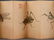 WATERCOLOR PAINTING OF INSECTS ALBUM - 8
