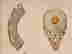 item-104630116=5