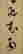 item-107975635=4