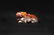 A WHITE AND RUSSET JADE MYTHICAL BEAST HAN DYNASTY - 2