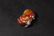 A WHITE AND RUSSET JADE MYTHICAL BEAST HAN DYNASTY - 6