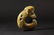HONGSHAN CULTURE JADE CARVED 'PIG DRAGON' ORNAMENT - 4