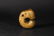 HONGSHAN CULTURE JADE CARVED 'PIG DRAGON' ORNAMENT - 3