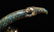 Warring State-Gold Silver on Bronze w/ Gem Dragon - 5